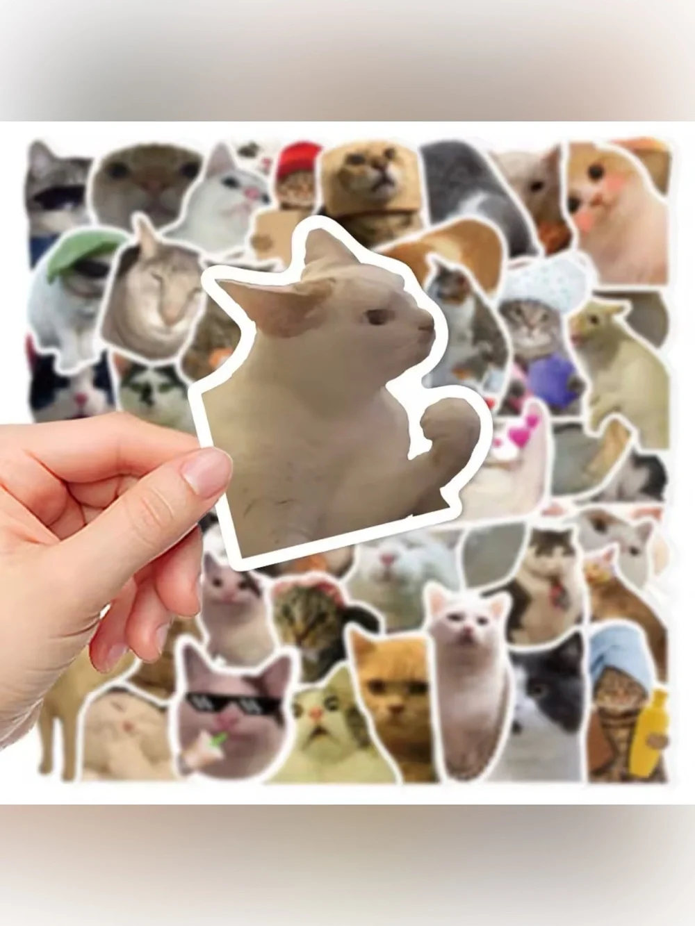 Funny Cat Meme Stickers 15 Pack Matte Vinyl Kawaii Kitty Decals
